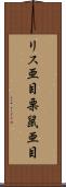 リス亜目 Scroll