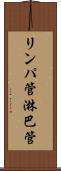 リンパ管 Scroll