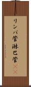 リンパ管 Scroll