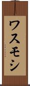 ワスモシ Scroll