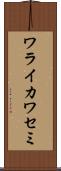 ワライカワセミ Scroll