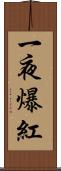 一夜爆紅 Scroll