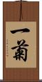 一菊 Scroll
