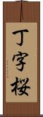 丁字桜 Scroll