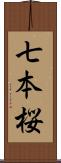 七本桜 Scroll