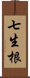 七生根 Scroll