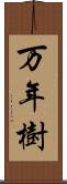 万年樹 Scroll