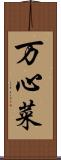 万心菜 Scroll