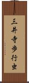 三井寺歩行虫 Scroll