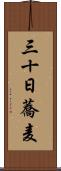 三十日蕎麦 Scroll