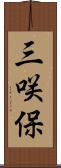 三咲保 Scroll