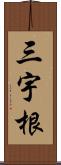 三宇根 Scroll