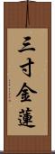 三寸金蓮 Scroll