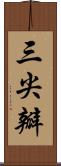 三尖瓣 Scroll