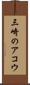 三崎のアコウ Scroll