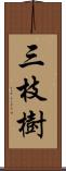 三枝樹 Scroll