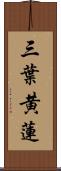 三葉黄蓮 Scroll