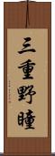 三重野瞳 Scroll