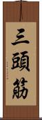 三頭筋 Scroll