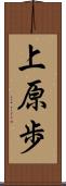 上原歩 Scroll