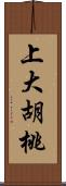 上大胡桃 Scroll