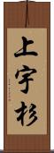 上宇杉 Scroll