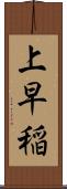 上早稲 Scroll
