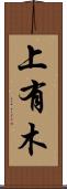 上有木 Scroll