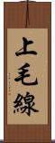 上毛線 Scroll