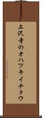 上沢寺のオハツキイチョウ Scroll