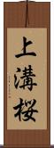 上溝桜 Scroll