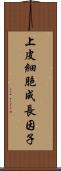 上皮細胞成長因子 Scroll