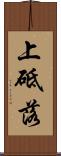上砥落 Scroll