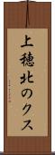 上穂北のクス Scroll