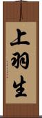 上羽生 Scroll