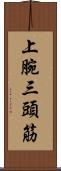 上腕三頭筋 Scroll