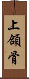 上頜骨 Scroll