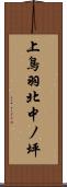 上鳥羽北中ノ坪 Scroll
