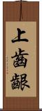 上齒齦 Scroll