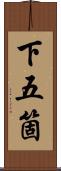 下五箇 Scroll