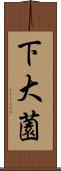 下大薗 Scroll