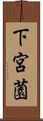 下宮薗 Scroll