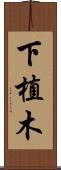 下植木 Scroll