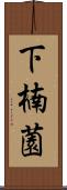 下楠薗 Scroll