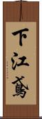 下江鳶 Scroll