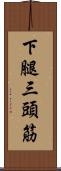 下腿三頭筋 Scroll
