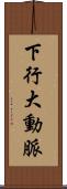 下行大動脈 Scroll