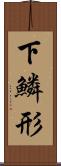下鱗形 Scroll