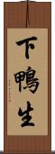 下鴨生 Scroll