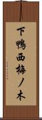 下鴨西梅ノ木 Scroll
